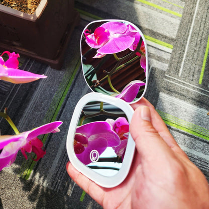 FlawlessView Precision Mirror